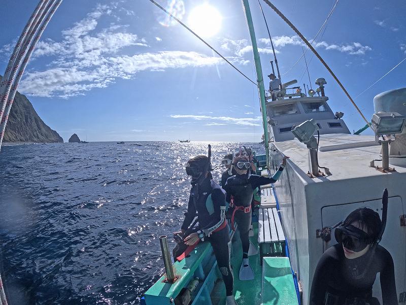 東京発＠三宅島ダイビング＆ドルフィンスイムツアー