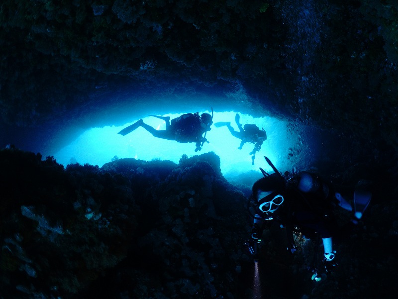 期間限定メガネ岩＠三宅島ダイビング＆ドルフィンスイムツアー