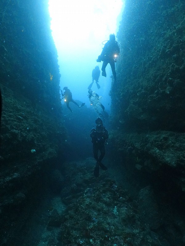 水中地形＠妻良ダイビングツアー