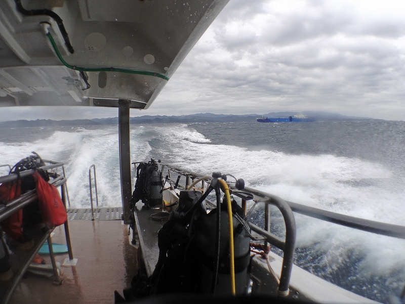 海遊社290＠東京発神子元ダイビングツアー