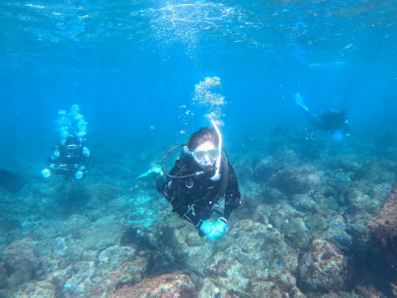 中性浮力＠川奈ダイビングツアー