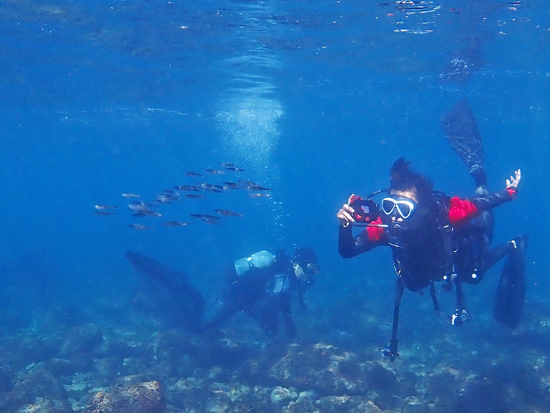 水中写真練習＠川奈ダイビングツアー