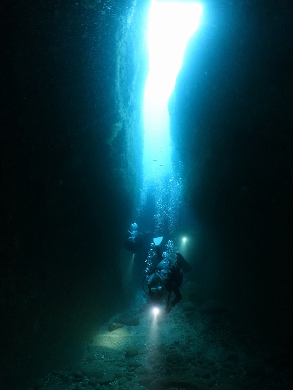 水中洞窟＠東京発雲見ダイビングツアー