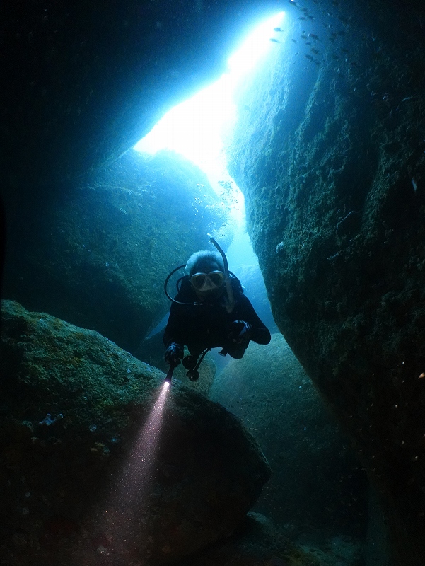地形派ダイバー＠東京発雲見ダイビングツアー