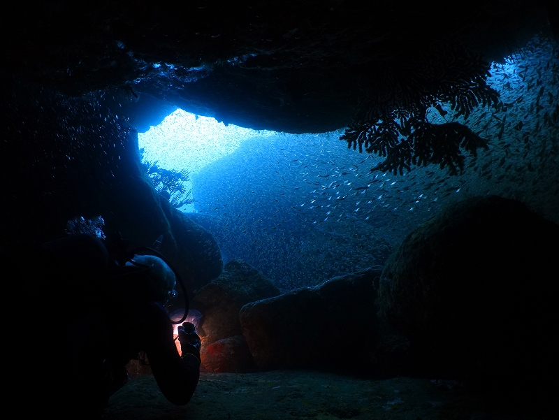 ケーブダイビング＠東京発雲見ダイビングツアー