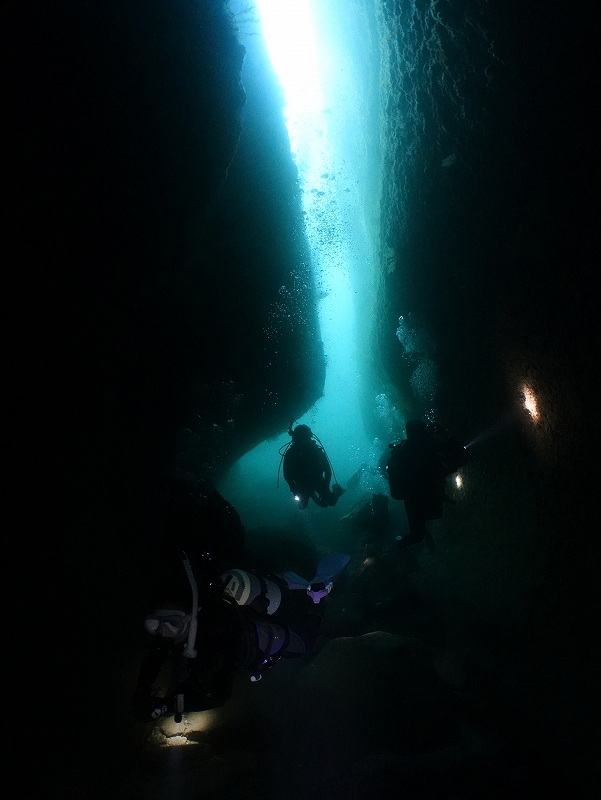三競水中地形＠東京発雲見ダイビングツアー