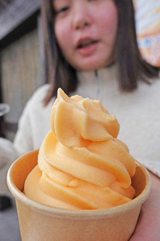 ピーナッツソフト＠千葉勝山ダイビングツアー