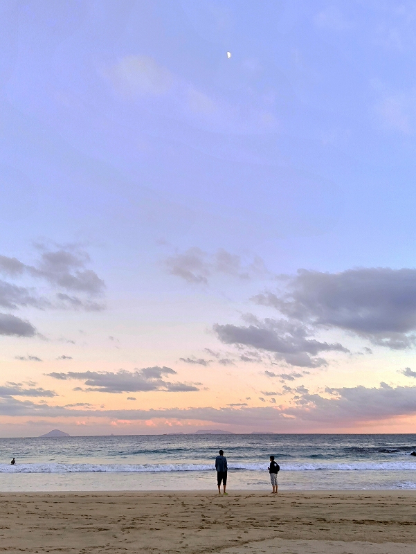 入田浜散歩@東京発神子元ダイビングツアー