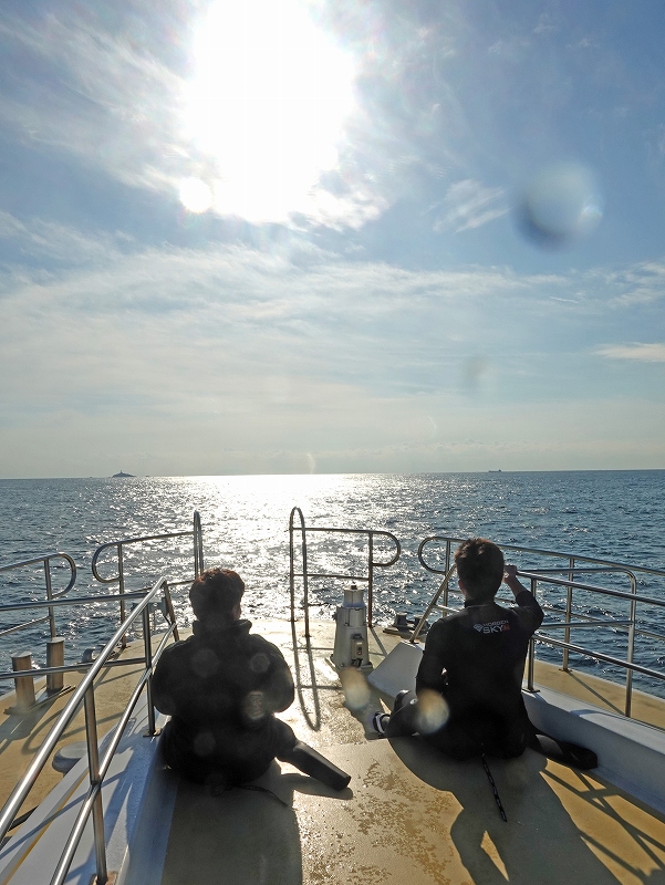 海遊社290@東京発神子元ダイビングツアー