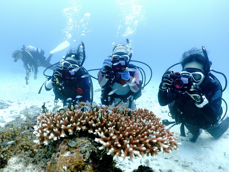 GULLマスク@東京発石垣島ダイビングツアー
