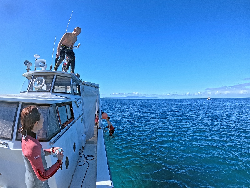 海遊び@東京発石垣島ダイビングツアー