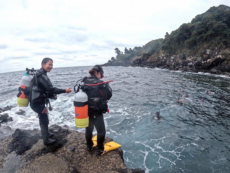 秋の浜エントリー@東京発伊豆大島ダイビングツアー