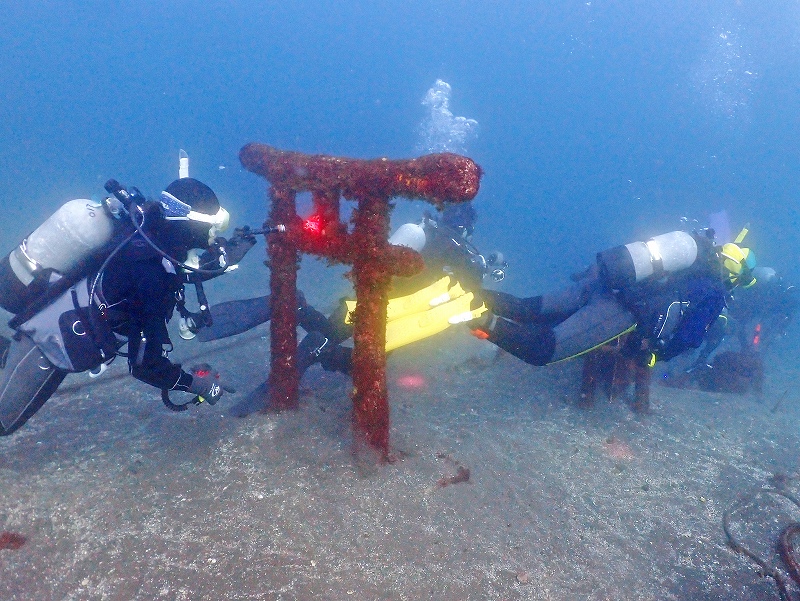 水中神社＠東京発大瀬崎ダイビングツアー