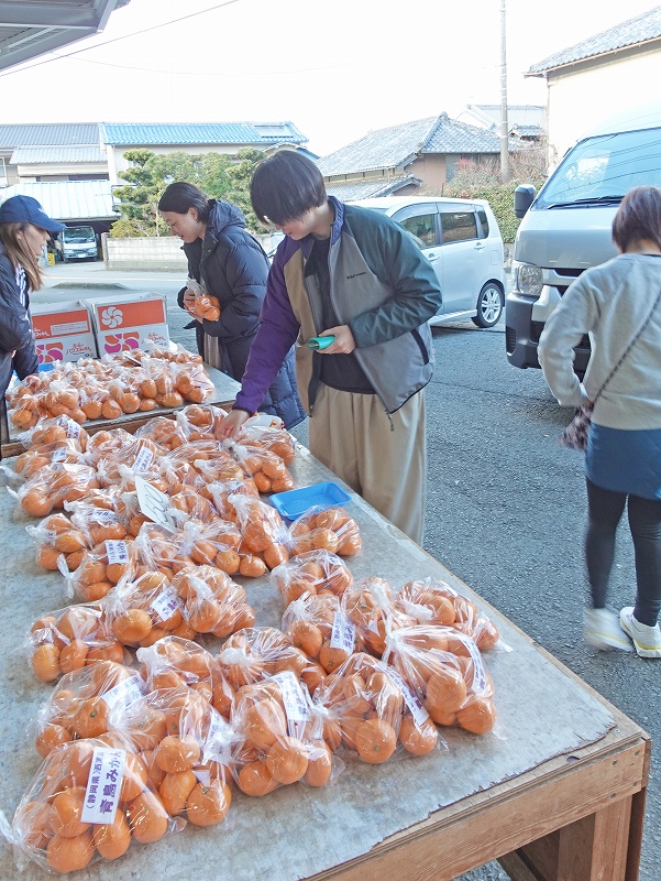 西浦みかん＠東京発大瀬崎ダイビングツアー