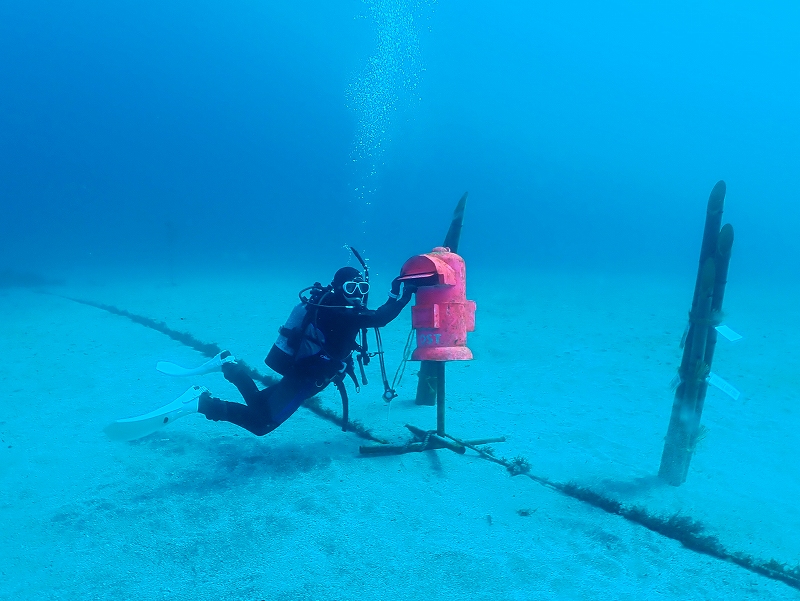 水中郵便ポスト＠東京発IOPダイビングツアー