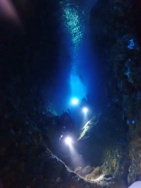 小曾我洞窟＠東京発熱海ダイビングツアー