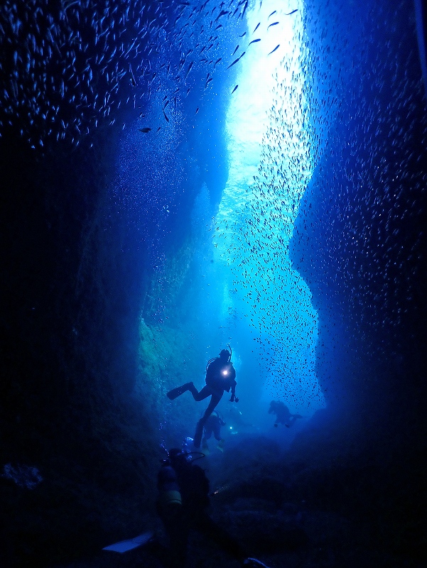 小曾我洞窟＠東京発熱海ダイビングツアー