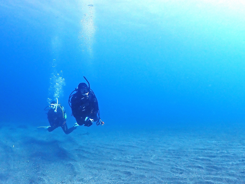 小曾我洞窟＠東京発熱海ダイビングツアー