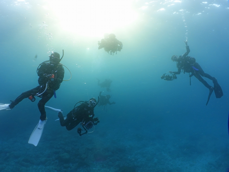 一人参加OK@東京発柏島ダイビングツアー