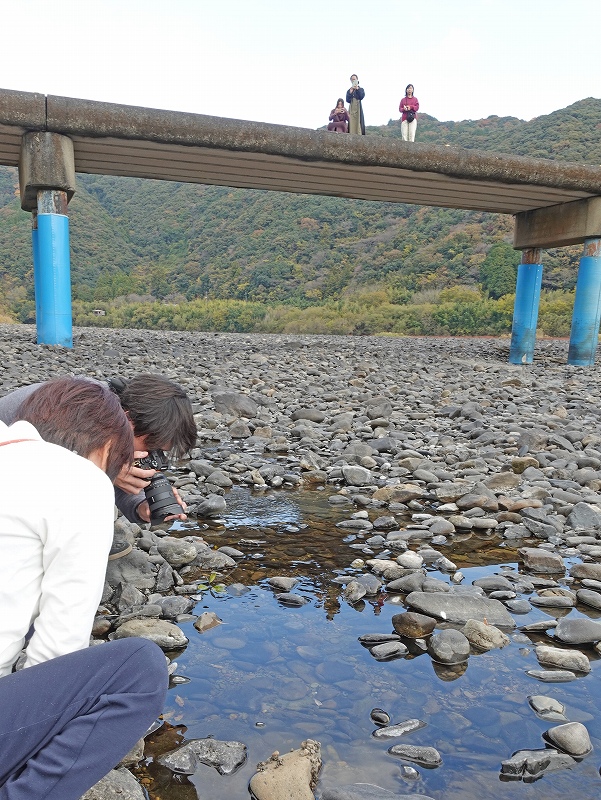 沈下橋@東京発柏島ダイビングツアー
