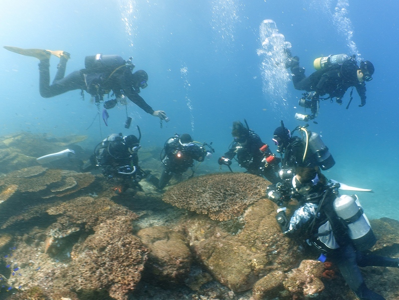 フォト派@東京発柏島ダイビングツアー