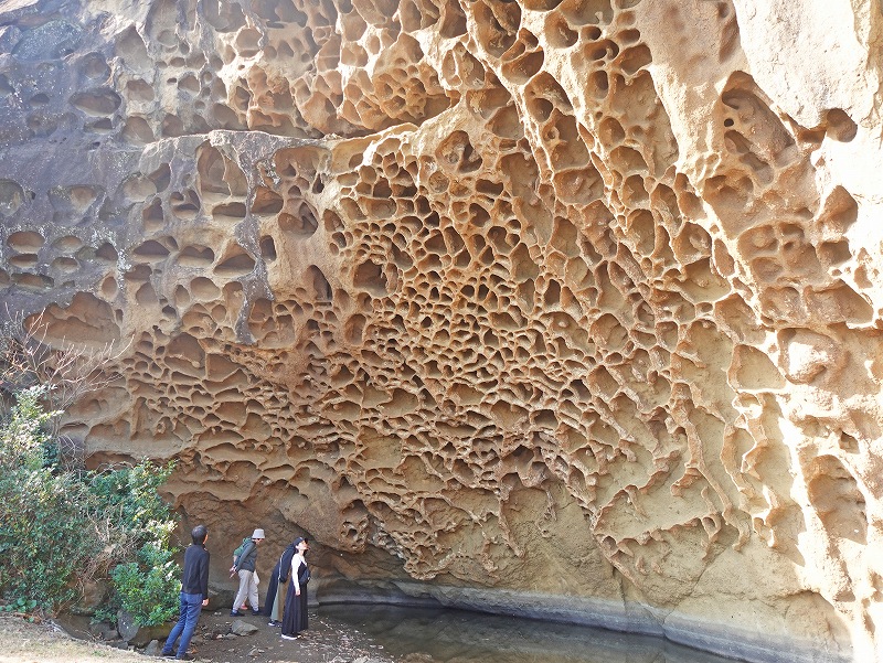 虫喰い岩・蜂の巣壁@和歌山(串本・須江)ダイビングツアー