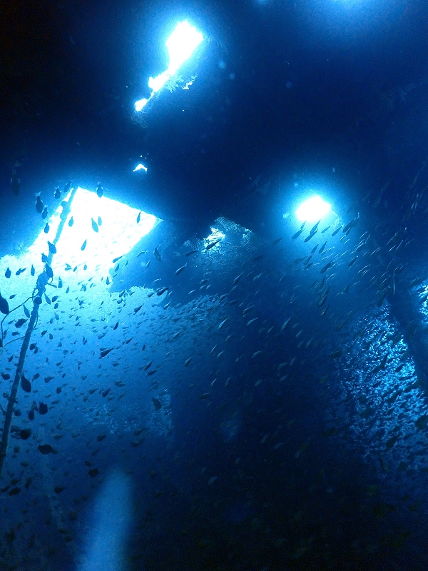 沈船＠東京発熱海ダイビングツアー