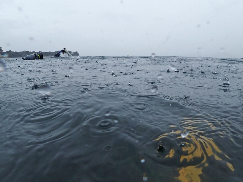 伊豆天気@平日大瀬崎ダイビングツアー