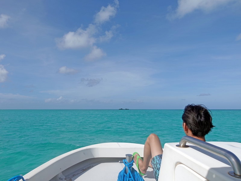 ターコイズブルー@東京発パラオダイビングツアー