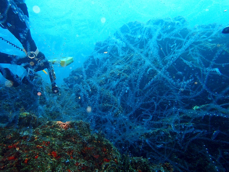 サルパ＠東京発安良里ボートダイビングツアー