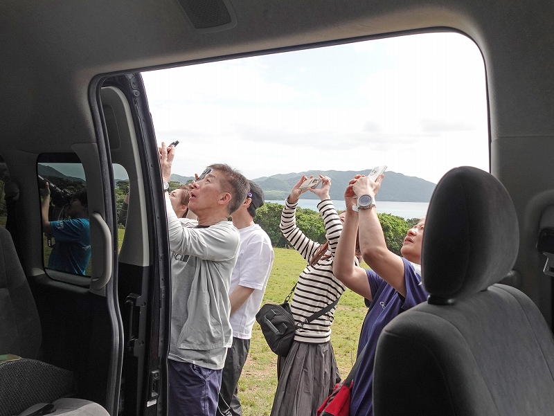 カンムリワシ@東京発石垣島ダイビングツアー
