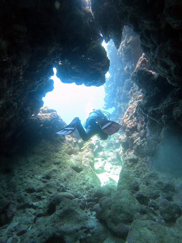 水中地形@東京発石垣島ダイビングツアー