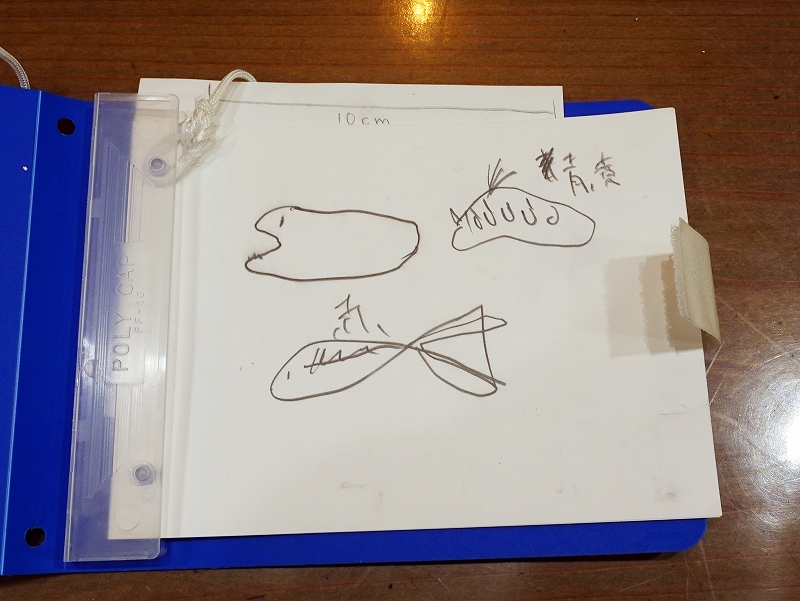 @PADIアドバンス講習コース