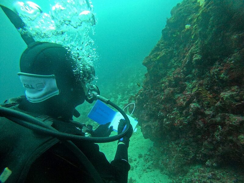 ナチュラリスト@PADIアドバンス講習コース