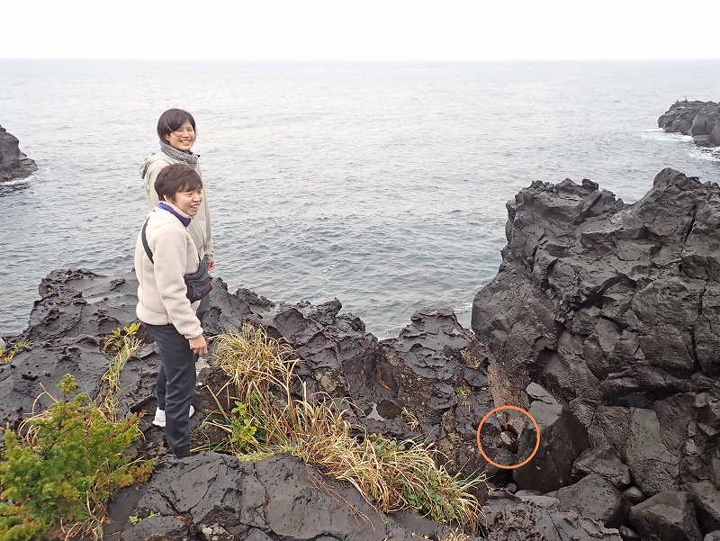 城ケ崎海岸散歩@東京発東伊豆お泊りダイビングツアー