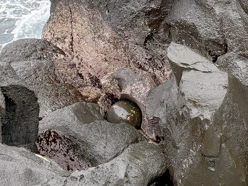 城ケ崎海岸散歩@東京発東伊豆お泊りダイビングツアー