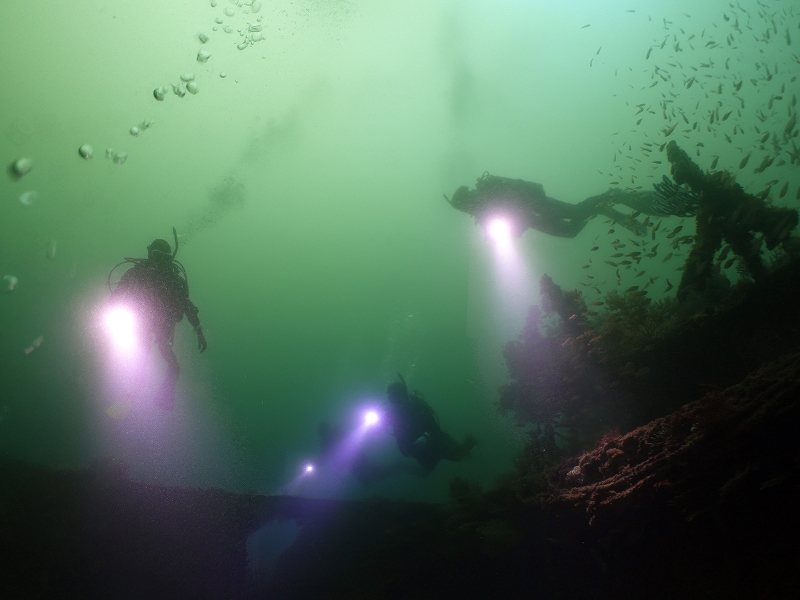 沈船＠東京発熱海ダイビングツアー