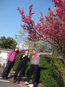 土肥桜でパチリ。
