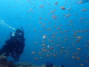 これが海。  