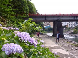 梅雨あけまだかな？      